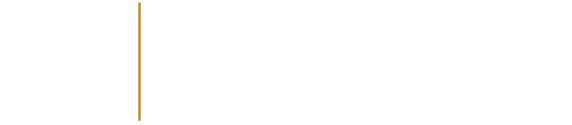 Sotomayor Consulting International